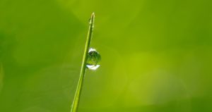 Uncover the truth about your natural baby shampoo. The best baby shampoo may be different than you think. Learn what natural and organic baby shampoo really means. Many brands say they are "natural" yet contain few natural ingredients. How does your shampoo stack up? @naturalsoapmom.com #babybath #babybathproducts #babyskincareproducts #babybathingskincare #naturalbaby #healthybaby