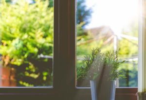 Do you have Indoor air pollution in your home? Unfortunately, we all do. Get the facts. Protect your families health with these 3 practical tips. Indoor air pollution comes from dozens of sources. Houseplants, like the Peace Lily, cleanses your air of unwanted VOC's and other chemicals. Products to clean the air in your home shouldn't cost big bucks. @naturalsoapmom.com #indoorairpollution #indoorplants #houseplants #indoor #plants #airpollution #healthy #voc #vocs #pollutionprevention #pollutionsolution #peacylily #mum
