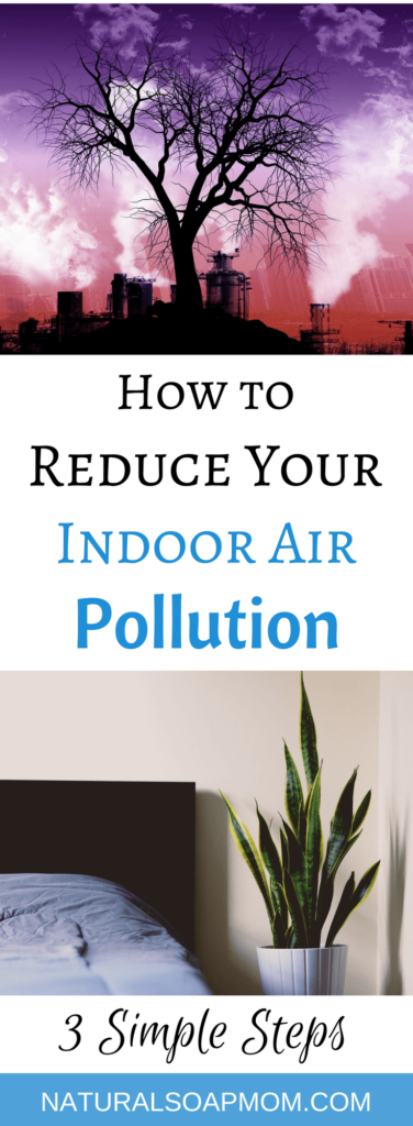 Do you have Indoor air pollution in your home? Unfortunately, we all do. Get the facts. Protect your families health with these 3 practical tips. Indoor air pollution comes from dozens of sources. Houseplants, like the Peace Lily, cleanses your air of unwanted VOC's and other chemicals. Products to clean the air in your home shouldn't cost big bucks. @naturalsoapmom.com #indoorairpollution #indoorplants #houseplants #indoor #plants #airpollution #healthy #voc #vocs #pollutionprevention #pollutionsolution #peacylily #mum