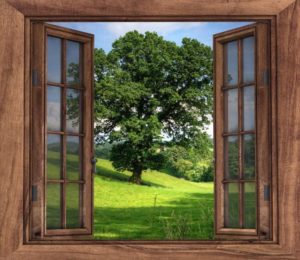 Do you have Indoor air pollution in your home? Unfortunately, we all do. Get the facts. Protect your families health with these 3 practical tips. Indoor air pollution comes from dozens of sources. Houseplants, like the Peace Lily, cleanses your air of unwanted VOC's and other chemicals. Products to clean the air in your home shouldn't cost big bucks. @naturalsoapmom.com #indoorairpollution #indoorplants #houseplants #indoor #plants #airpollution #healthy #voc #vocs #pollutionprevention #pollutionsolution #peacylily #mum
