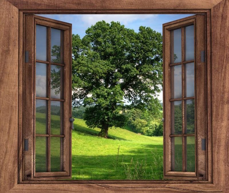 Do you have Indoor air pollution in your home? Unfortunately, we all do. Get the facts. Protect your families health with these 3 practical tips. Indoor air pollution comes from dozens of sources. Houseplants, like the Peace Lily, cleanses your air of unwanted VOC's and other chemicals. Products to clean the air in your home shouldn't cost big bucks. @naturalsoapmom.com #indoorairpollution #indoorplants #houseplants #indoor #plants #airpollution #healthy #voc #vocs #pollutionprevention #pollutionsolution #peacylily #mum